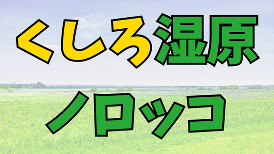 You are currently viewing 中学受験おすすめ列車：くしろ湿原ノロッコ号[道東を満喫したい！]